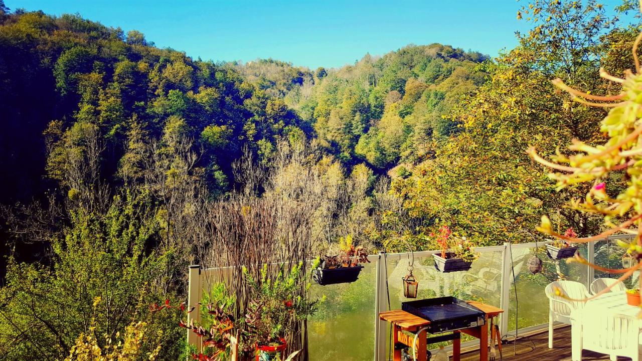 Skymist Maison D'Hotes Biert Luaran gambar