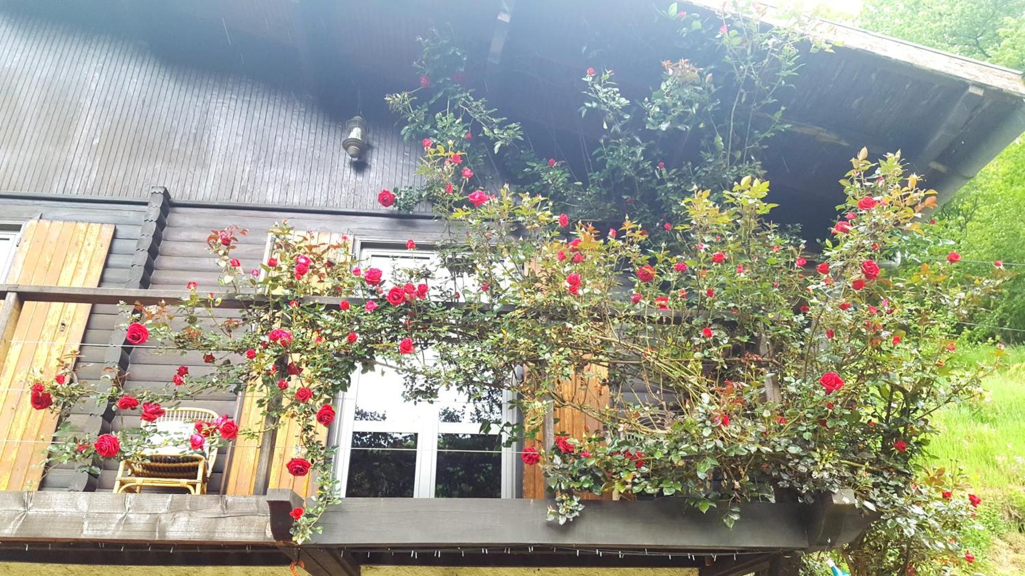 Skymist Maison D'Hotes Biert Bilik gambar